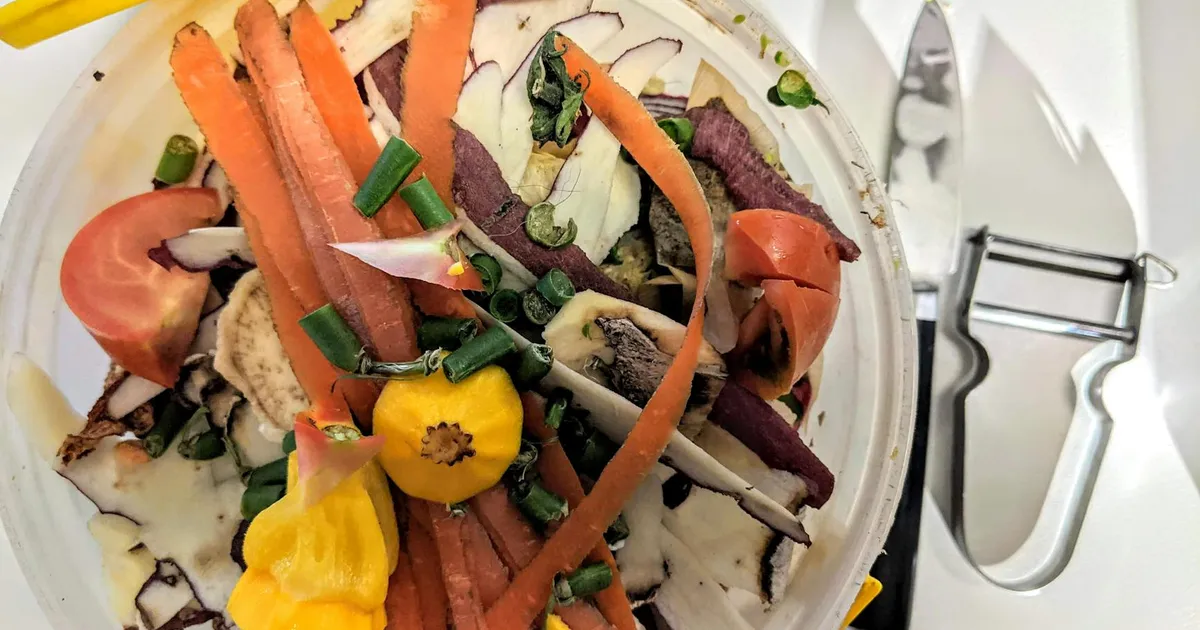 Embrace the Power of Vegetable Scraps