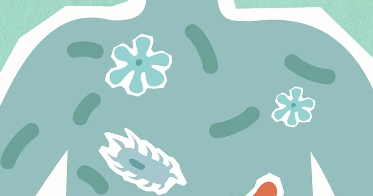 Understanding the Importance of Gut Health
