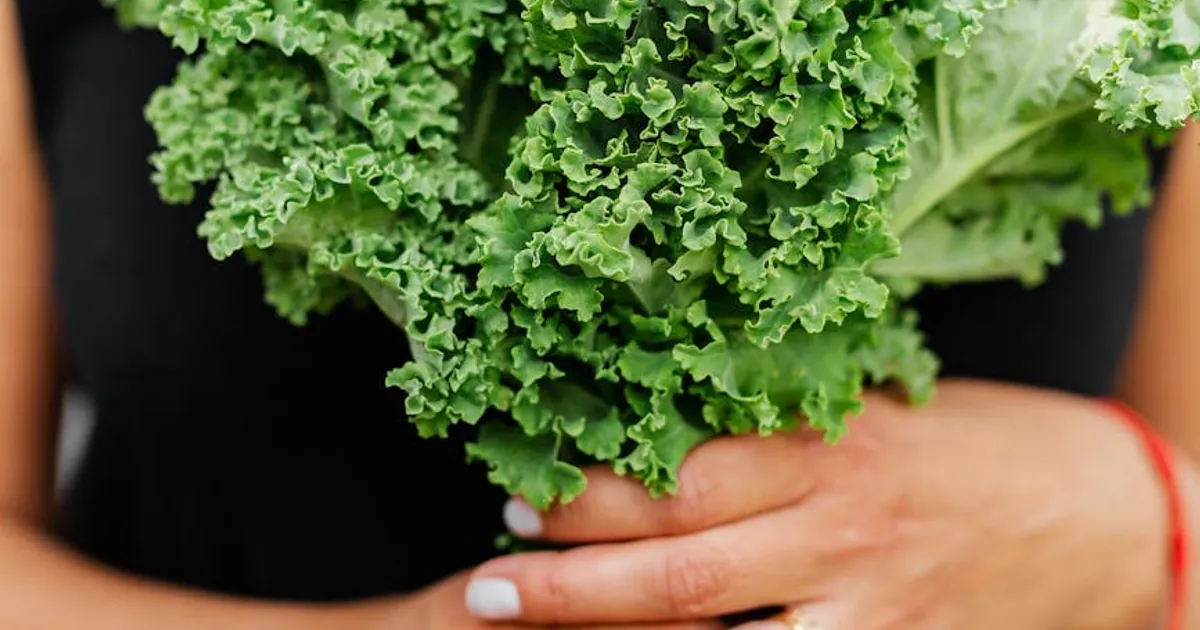 Essential Anti-Inflammatory Foods
